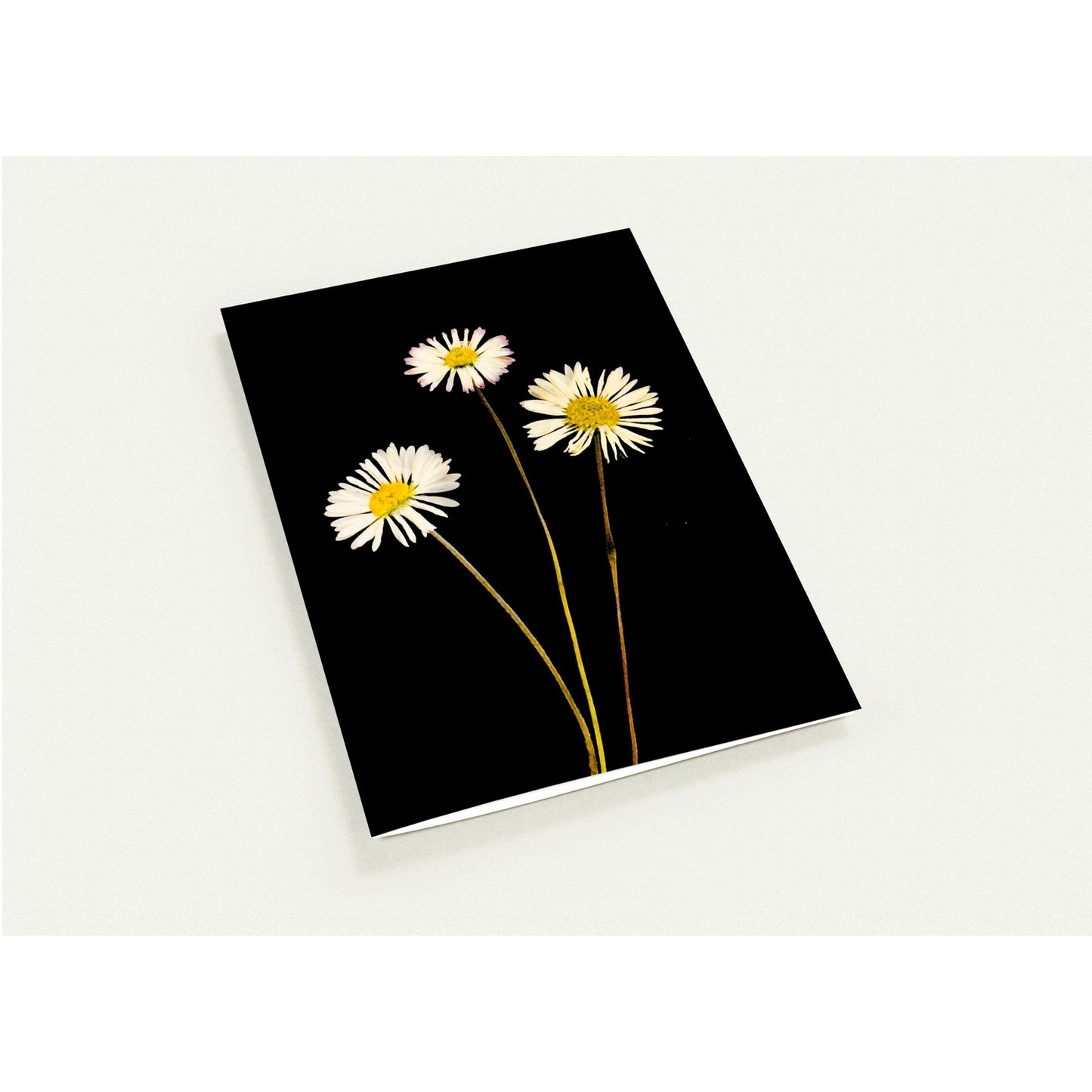15cd31c2-a6de-4e6e-9285-26a0745fac76