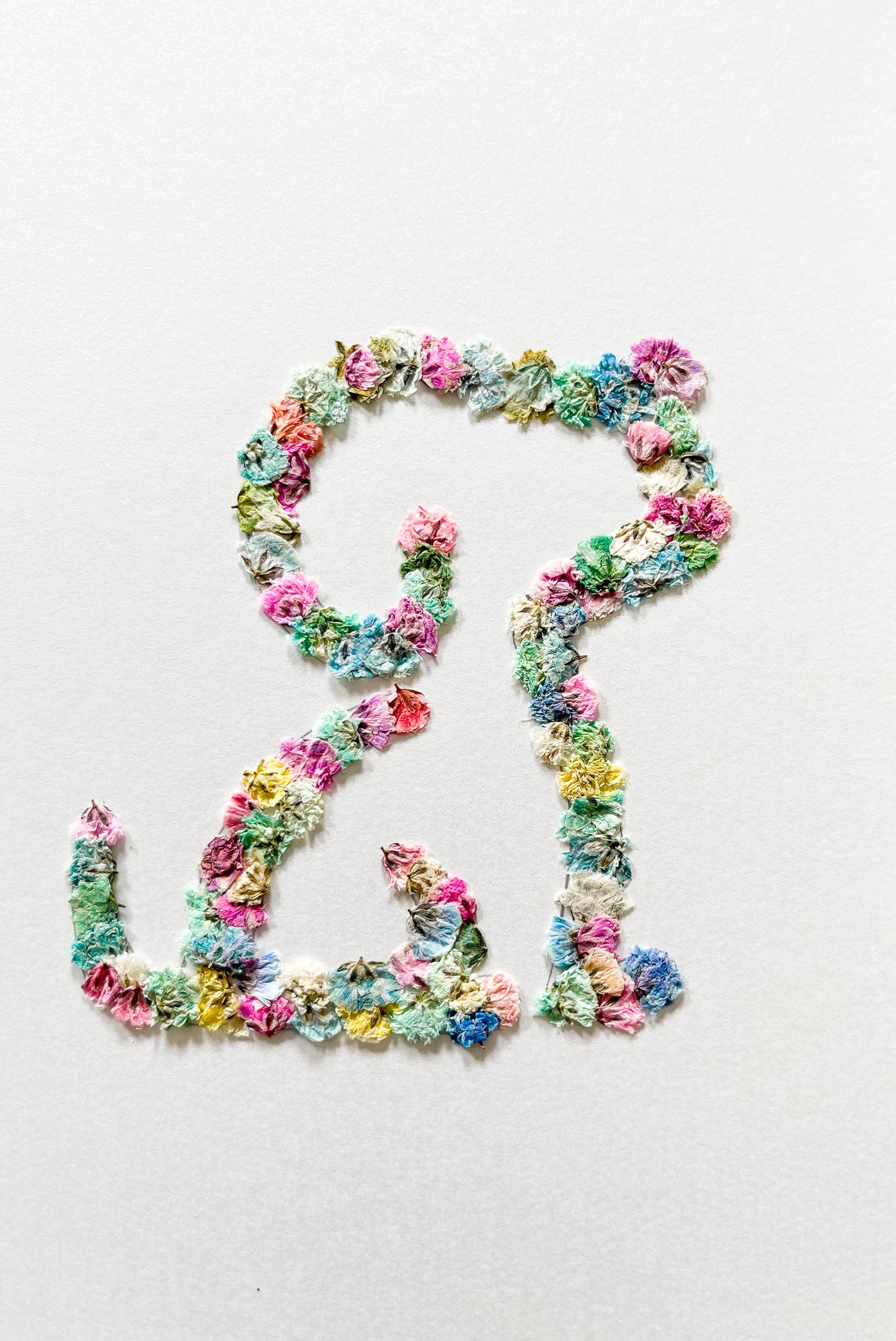 Original Pressed Gypsophila Animal Range - 'Puppy Dog'