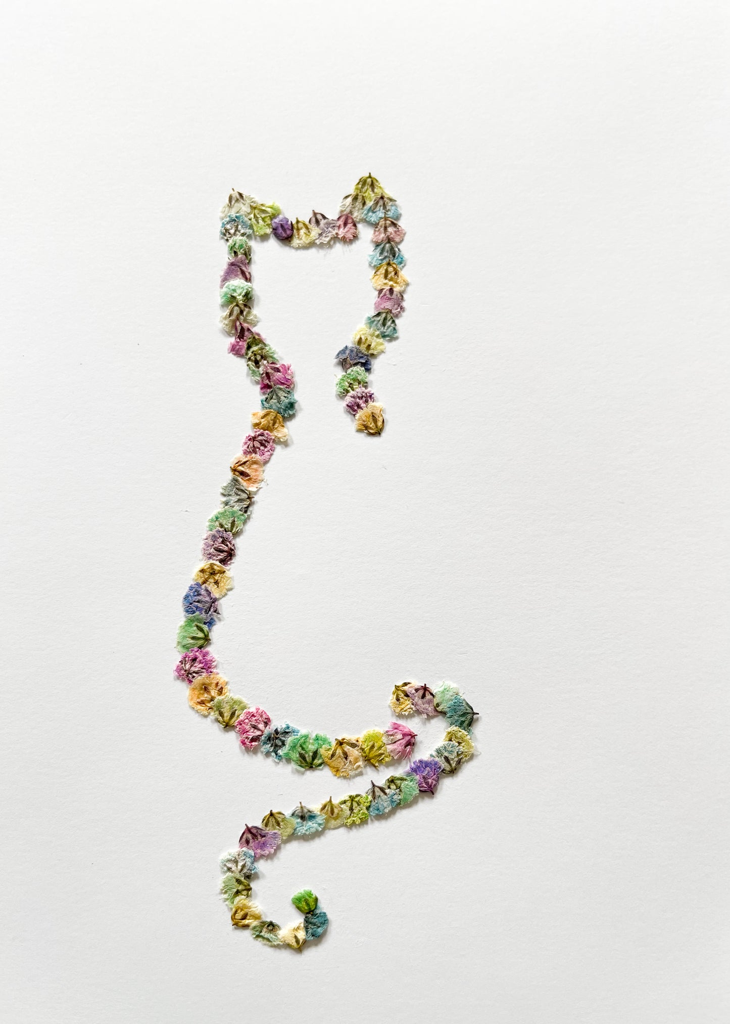 Original Pressed Gypsophila Animal Range - 'Cat'
