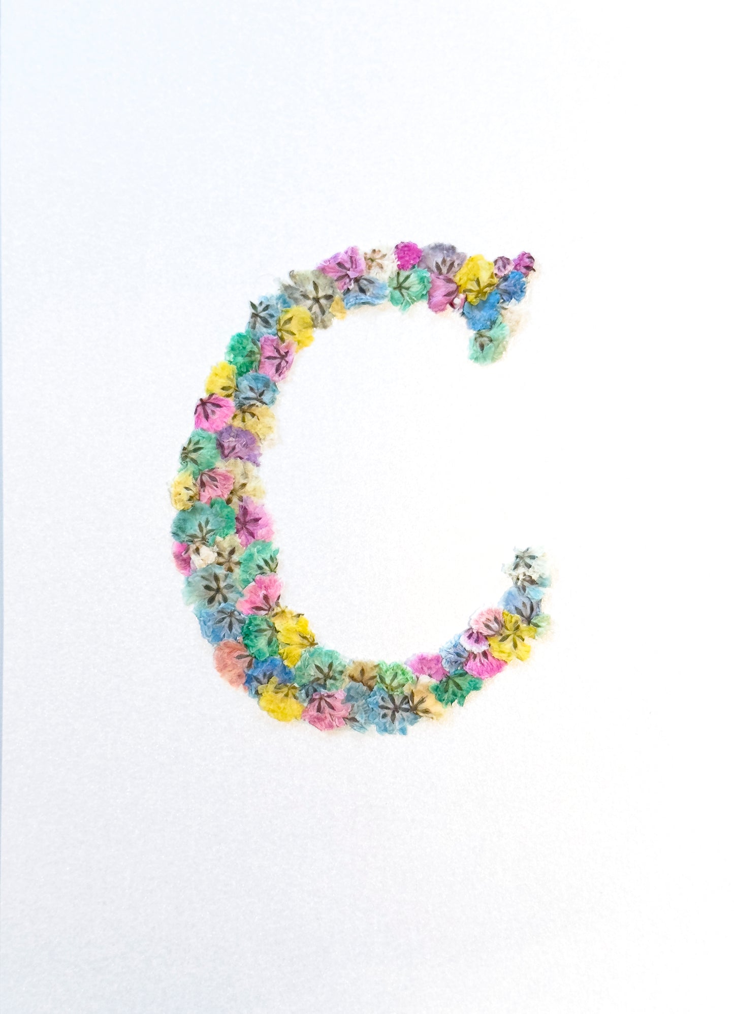 Original Pressed Gypsophila Letters - 'C'