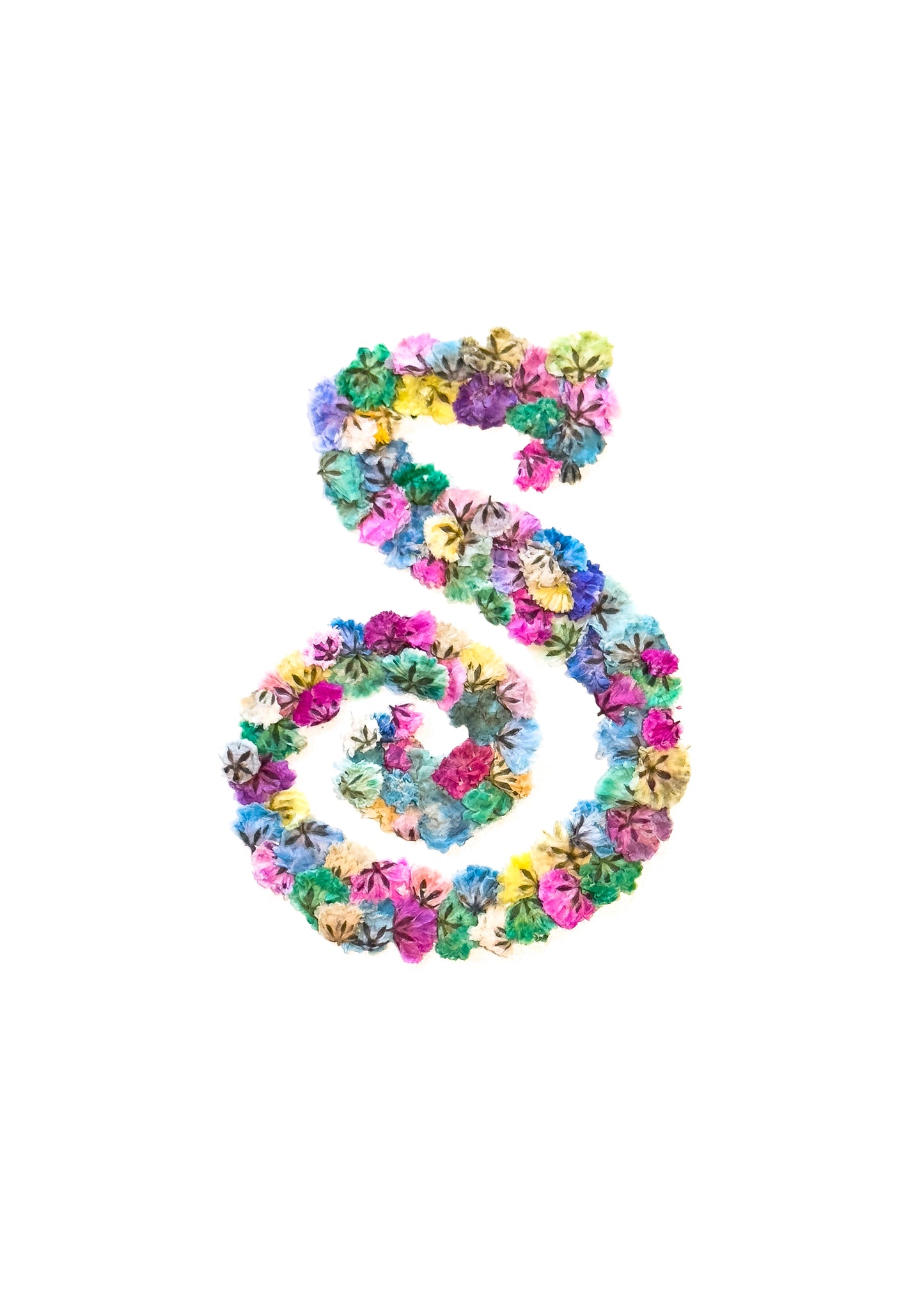 Original Pressed Gypsophila Letters - 'S'