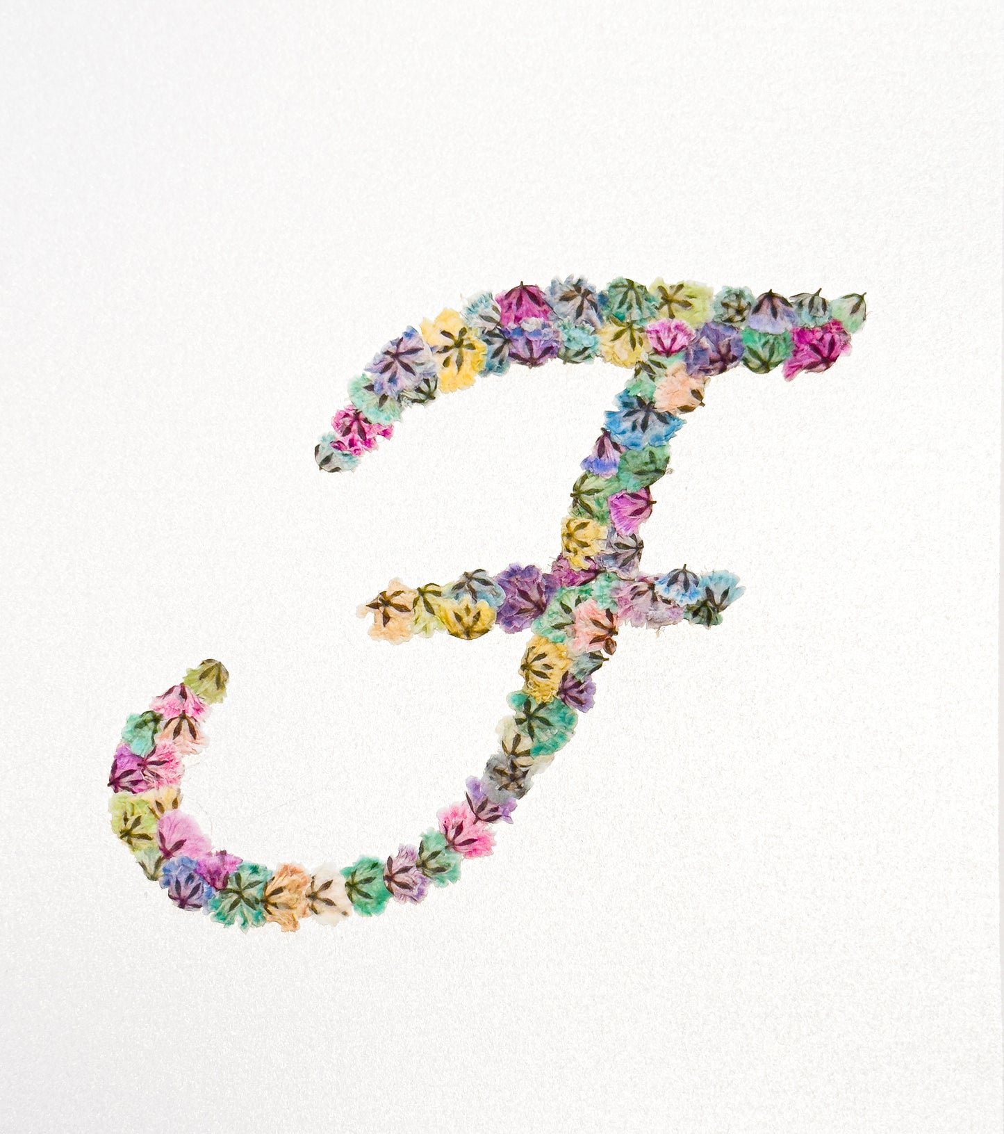 Original Pressed Gypsophila Letters - 'F'