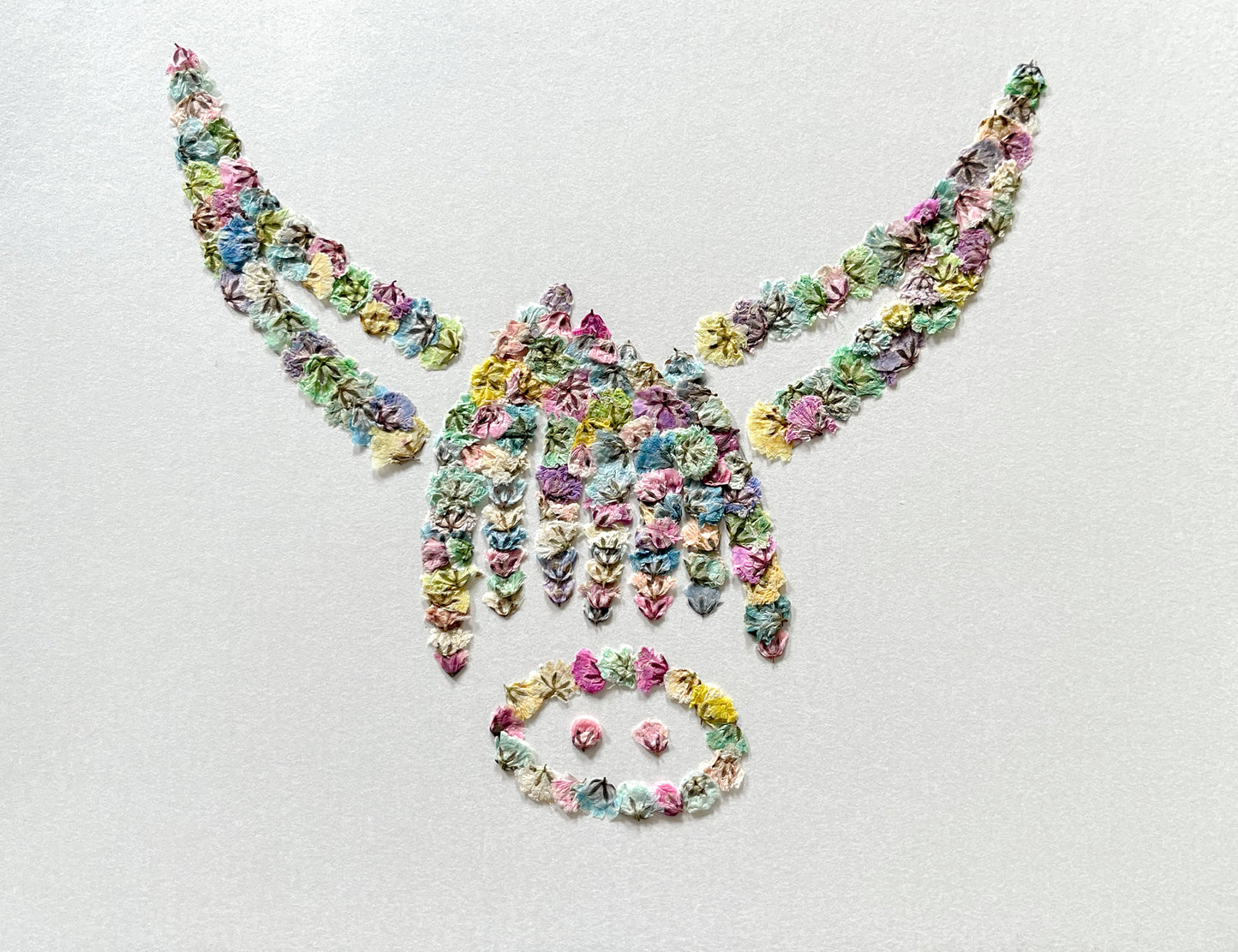 Original Pressed Gypsophila Animal Range - 'Highland Cow'