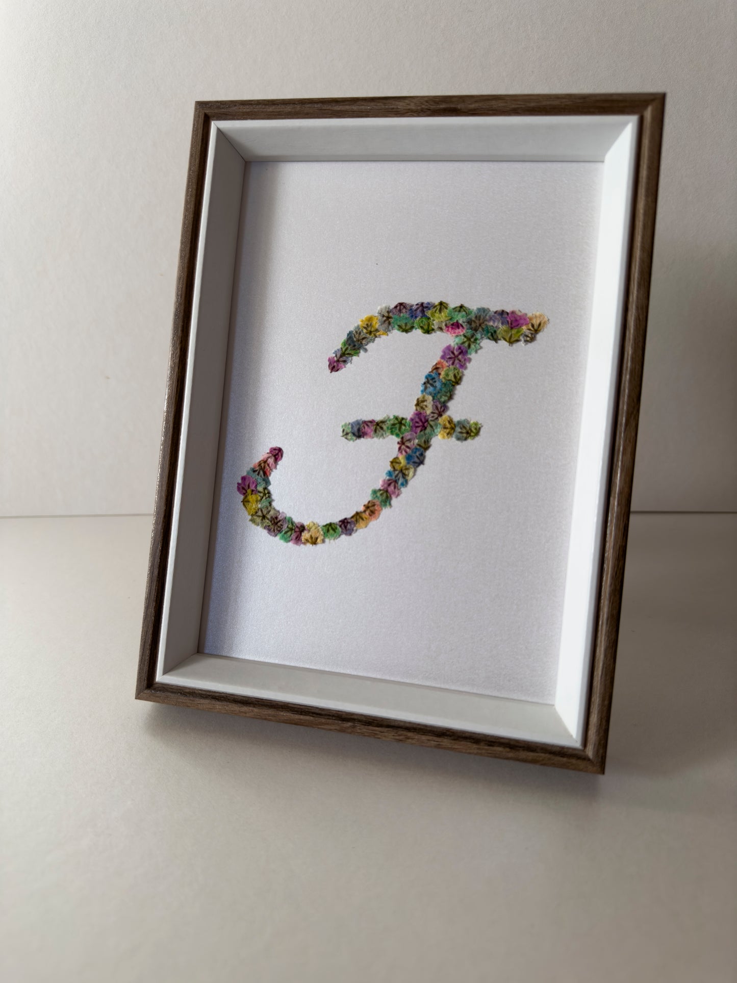 Original Pressed Gypsophila Letters - 'F'