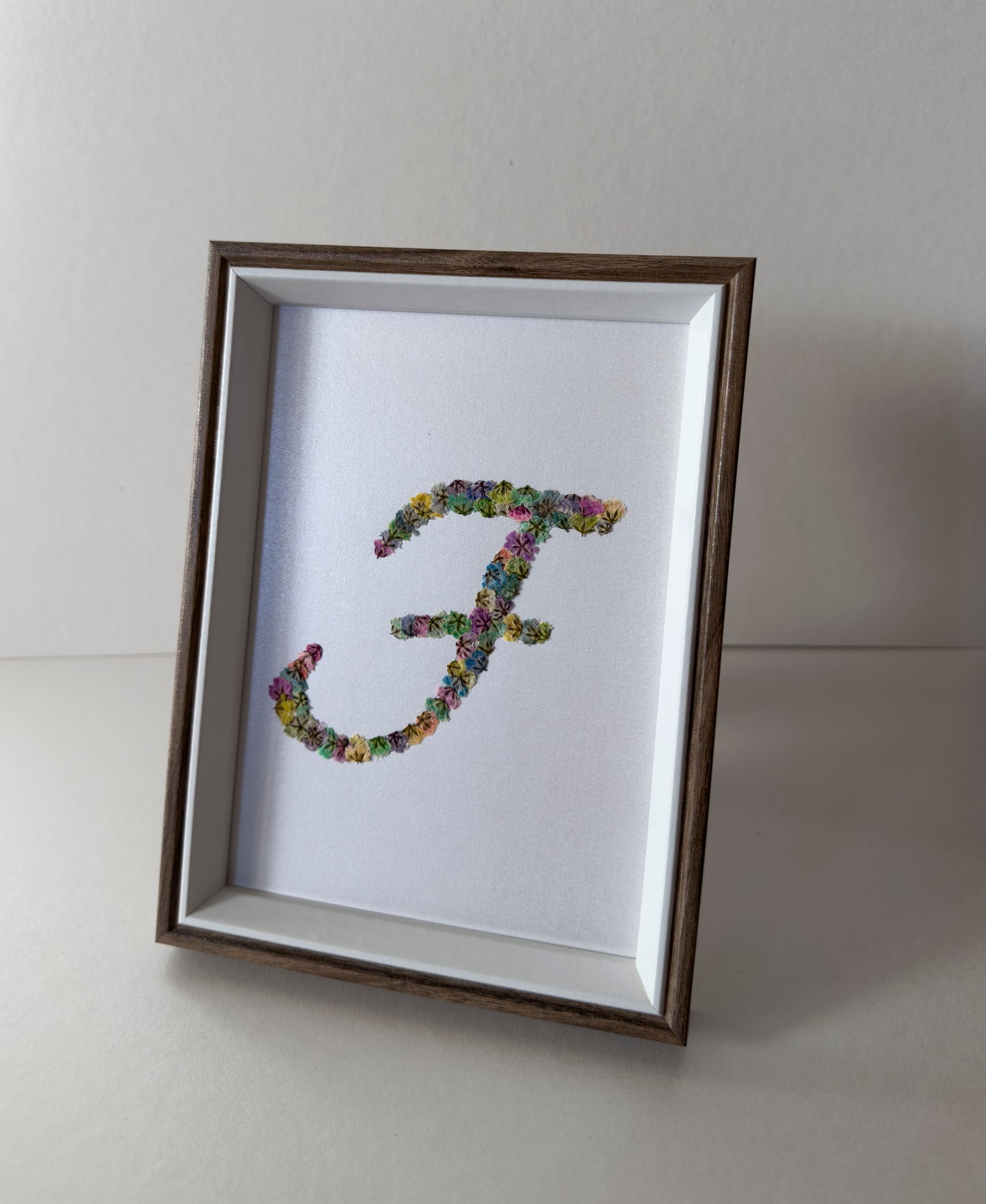 Original Pressed Gypsophila Letters - 'F'