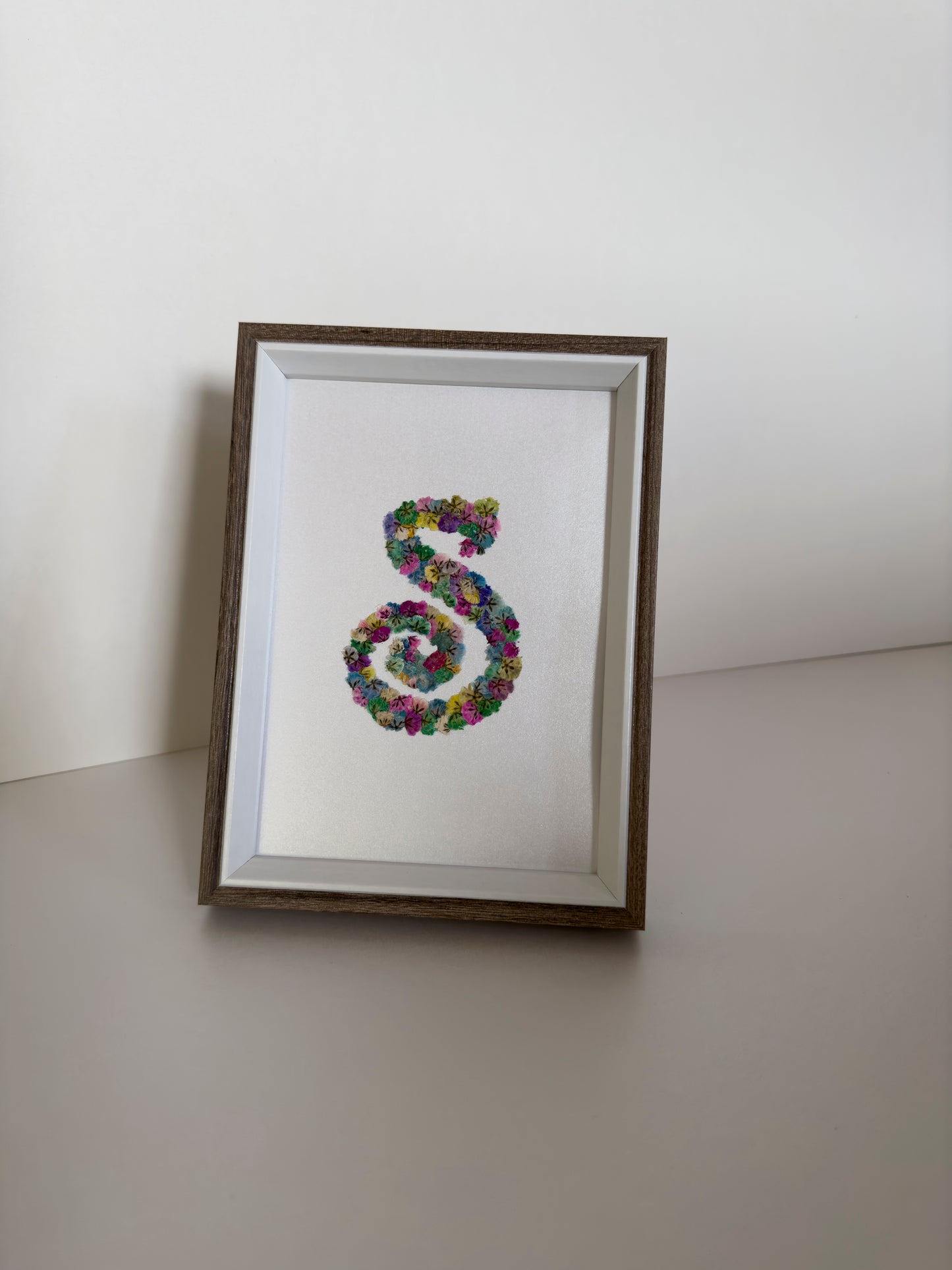 Original Pressed Gypsophila Letters - 'S'