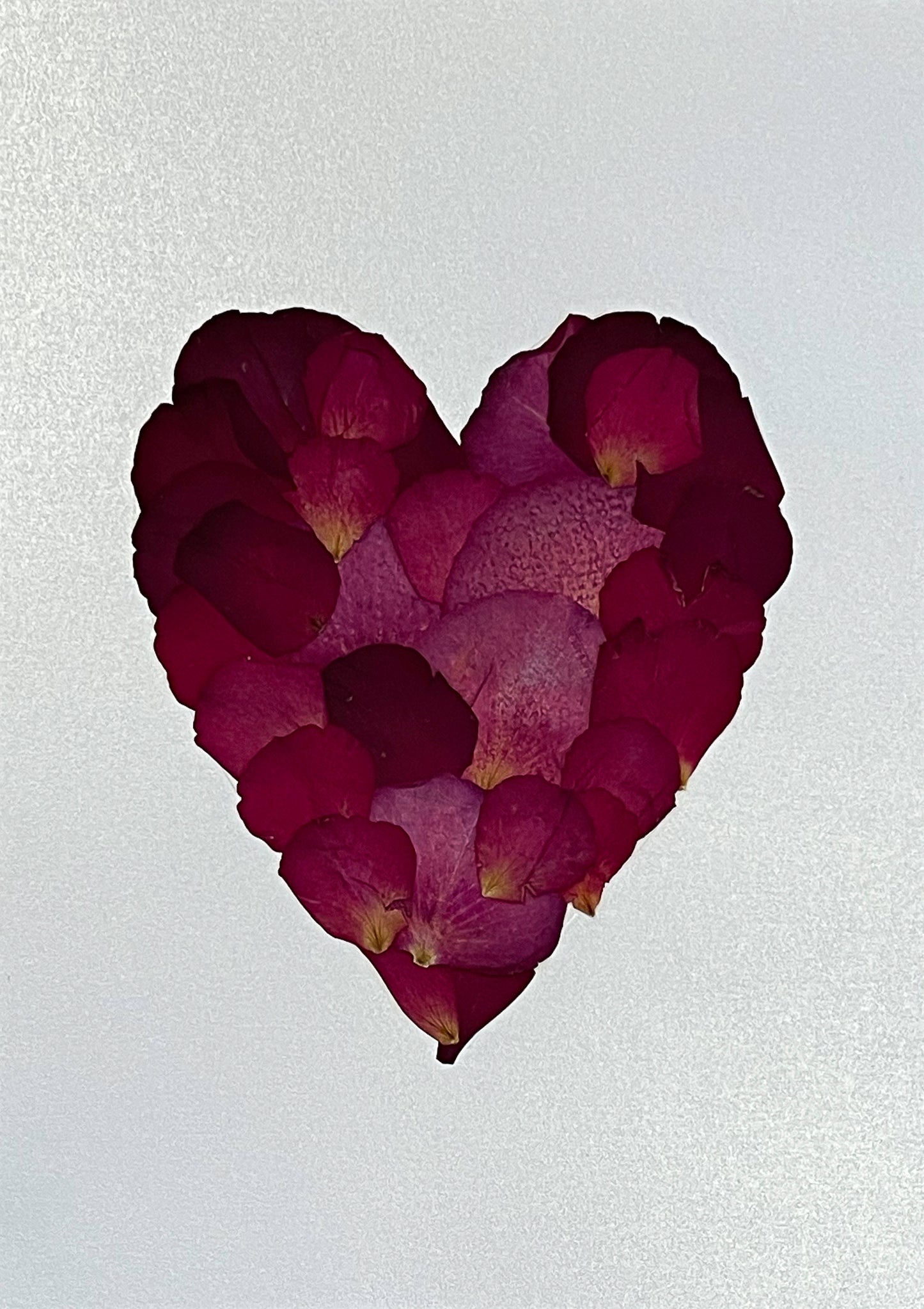 Real Pressed Rose Petal Red Heart - Framed A4 - Silver Glitter Background