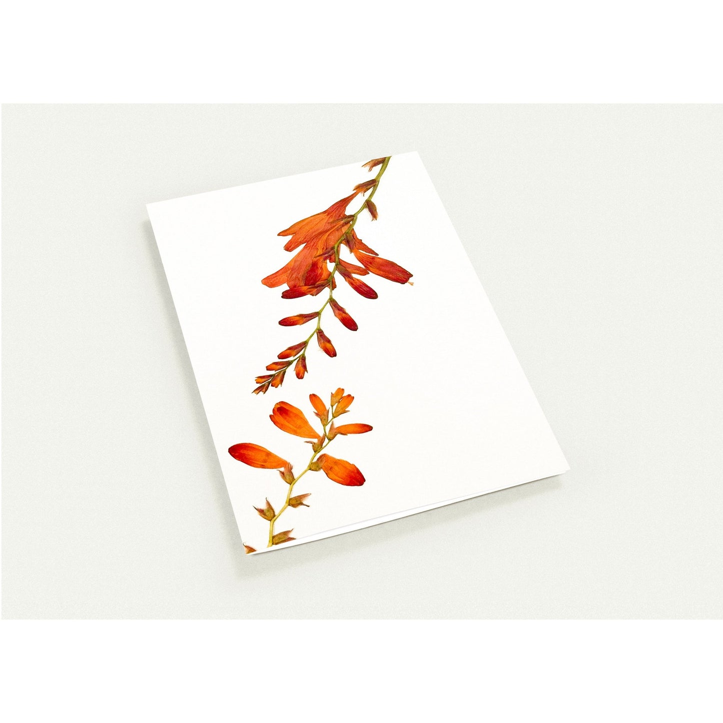 fff0512f-cad1-44d2-a7ee-2b84baadfede