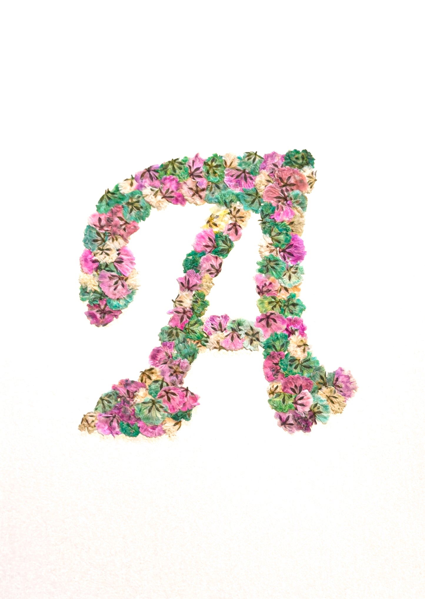 Original Pressed Gypsophila Letters - 'A'